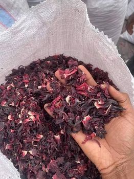 Hibiscus - RootSpring Agro Export Ltd - Nigeria