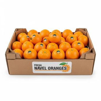 Fresh Navel Orange High Juice Content Harvest For Retail Supply Chains And Fresh Fruit Export Demand - TOSOH INTERNATIONAL - South Africa