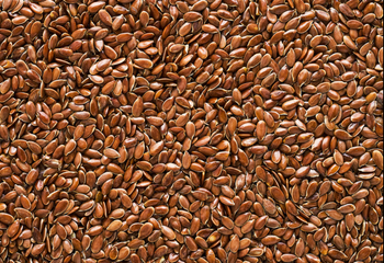 Organic Flaxseeds - Davis Trade & Commodities - United States