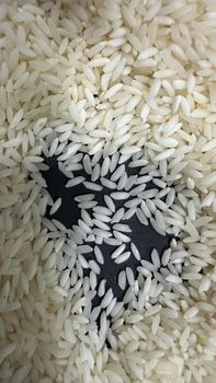 Rice - JNP ENTERPRISES - India