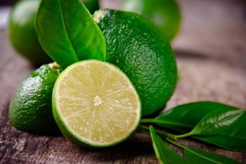 Bulk Fresh Lime with Low Price High Juice Yield Citrus Fruit for Beverage Production and Food Processing - TRADECENTRIC LLC - United States
