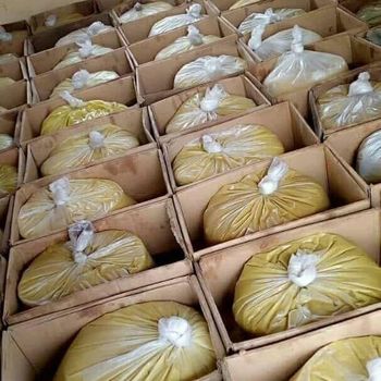 Raw Organic Shea Butter - Hardy Consultancy - United Kingdom