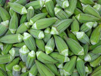 IQF Okra Season Availability Jun – Jul – Aug Packing Options 400gm, 1kg, 2kg, 2.5kg, Bulk 10kg Storage Conditions Deep-freeze Compartment Or Freezer At - Cairo Gates Import & Export - Egypt