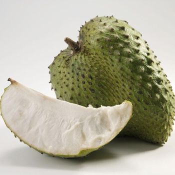 PREMIUM Fruit _ VIETNAM Fresh COMMON a Grade Fresh Soursop 100% Maturity COMMON Cultivation with ISO Certification 1.5 Kg - KIM MINH INTERNATIONAL - Vietnam