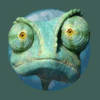 Product - RANGO PLANET - Turkey