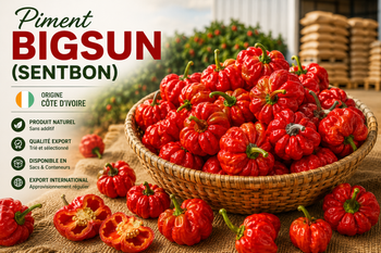 Pepper big sun Delivery Form Bag, Sacks Variety Bigsun (sentbon) Form Ground, Other, Whole Features Fair Trade, Organic Product Type Natural Product - Direct Impact Partners - Ivory Coast