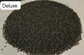 COCO PEAT - Spark Biz Impex india - India