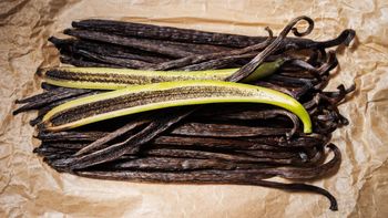 Dried Vanilla (planifolia) from Adikarya Darsa Internusa Dried Vanilla (planifolia) – product photo, Dried Vanilla Beans products found from trusted suppliers, wholesalers, manufacturers & exporters Listing