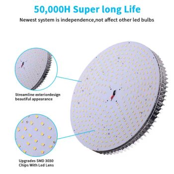 370W Energy Saving 50, 000 Hours LED Pizza Light Replacing Mh/HPS/HID/CFL Lamps - QPL Car Co., Ltd - China