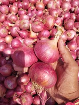 Fresh Onions for sale – product photo, Fresh Baby Onions products found from trusted suppliers, wholesalers, manufacturers & exporters Listing