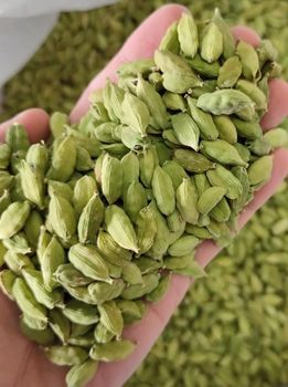 GREEN CARDAMOM – product photo, Green Cardamom Spice products found from trusted suppliers, wholesalers, manufacturers & exporters Listing