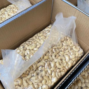 Premium Roasted Cashew Kernels With Export Packaging Processed Cashew Nuts For Bulk Import Orders - malter group - Tanzania