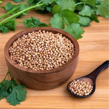 coriander - SANS GLOBAL ADDITIVES  - India