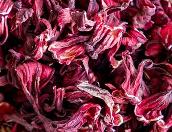 Herbs - hibiscus Additives None Color Deep Red Hue Purity 100% Natural Vitamin C Content Rich Artificial Colors None Antioxidant Content - Supa herbs - Egypt