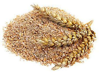 wheat Bran - BF GLOBAL TRADING (PTY) LTD - South Africa
