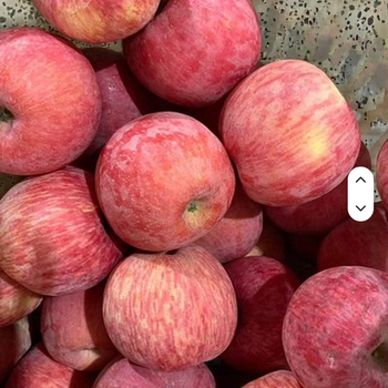 Wholesale Fresh China Fuji Apples High Quality Fruit for Your Needs - AZU EMOBILITY LLC - Canada