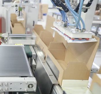 Medical-Grade High-Precision Automatic Delta Robot Case Packer for Syringes - Robotphoenix Technology Co., Ltd. - China