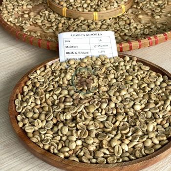 Premium Robusta Coffee Beans Strong Bold Flavor High Caffeine Fresh Roasted For Daily Brewing Buy Fast Delivery Premium Quality Wholesale Naturally Perfect For Home And Cafe Use - wood traders - Poland