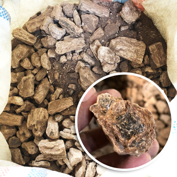 Damar Dammar Gum Resin Rock Powder From Sumatera Indonesia Type Natural Delivery Form Bag, Big Bags, Other, Sacks - PT Pasar Ibu Nusantara - Indonesia