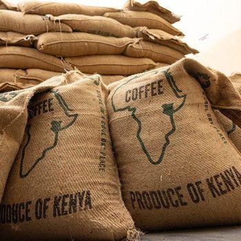 Premium Quality Arabica and Robusta Coffee beans from Kenya and Uganda respectively - Buyosi Enterprises - Kenya