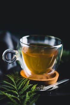 Green Tea Purity Pure Origin Asia Texture Natural Features Organic Product Type Beverages Antioxidant Content Rich Flavor Soothing And Refreshing - pelawatte - Saudi Arabia