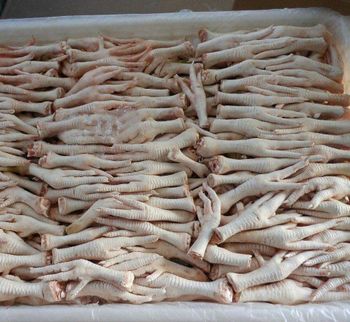 High-quality IQF Frozen Chicken Feet (Body Part) Bulk Packaging Top Grade Nutritious Sugar-Free Great for Export Local Market - Carla Pisselli Commercio - Brazil