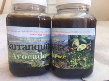 Natural  Organic Honey.Mexico - piel Alpha SA de CV - Mexico