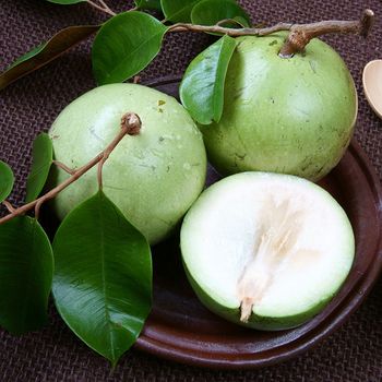Viet Nam Star Apple - Sweet taste Type Apple Grade AAAAA Color Green Style Fresh Variety FUJI Weight (kg) 0.2 Taste Sweet - GIA GIA NGUYEN CO., LTD - Vietnam