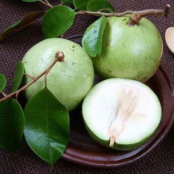 FRESH STAR APPLES TROPICAL FRUITS FOR EXPORT FROM VIETNAM/MS.LAURA +84 896611913 - VIET D.E.L.T.A INDUSTRIAL CO., LTD - Vietnam