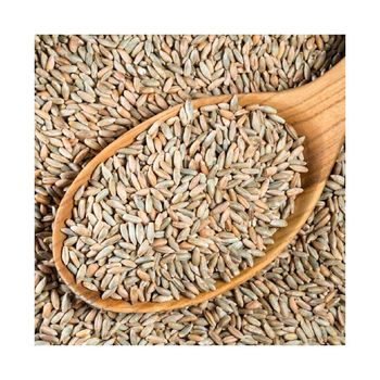Rye grain wholesale bulk packaging available for sale - MASI TRADING GMBH - Germany