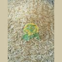 1121 Parboiled Sella Mazza Basmati Rice AGL 8.3 MM 10% Max Moisture – Extra Long Grain | Premium Export Quality | Pakistan Origin | Private Label Available - Amir Rice Mills (Pvt.) Ltd - Pakistan