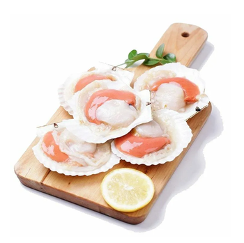 Best Price Organic Frozen Scallop Meat | Frozen Scallop Half Shells Available For Sale -  CALIPSO POLSKA SP Z OO  - Poland