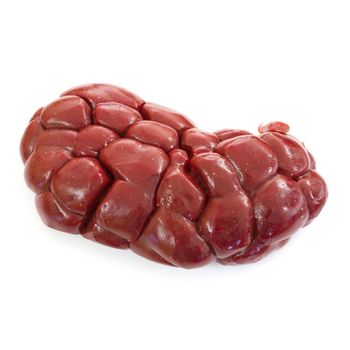 Frozen Halal Beef Kidney from Portugal - Halal Certified, Food Grade, and High Quality - Exigentelaxia Unipessoal Lda - Portugal