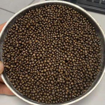 High Purity Dap Fertilizer For Agricultural Input Supply Supporting Early Plant Development And Field Productivity - TOSOH INTERNATIONAL - South Africa