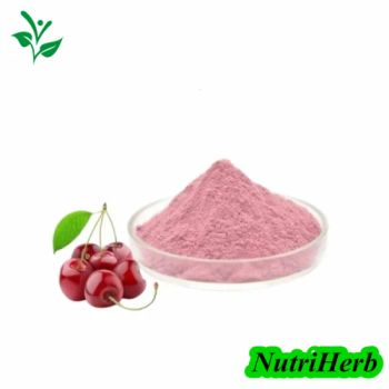 Natural 25 Vc Acerola Cherry Powder Extract Cherry Juice Powder - Nanjing NutriHerb BioTech Co., Ltd. - China
