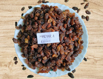 Malayar A raisin - Sham Gangurde  - India