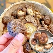 Dry Mushroom Dried Shiitake Mushroom Grade A Shelf Life 2 YEARS Moisture Content <=12% Place of Origin THAILAND Shipping from Thai Agri Company Dry Mushroom Dried Shiitake Mushroom Grade A Shelf Life 2 YEARS Moisture Content <=12% Place of Origin THAILAND Shipping - Thai Agri Company - Thailand