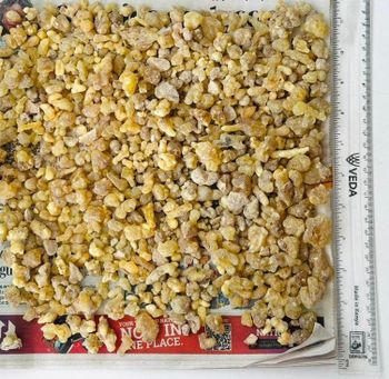 Gum Olibanum Boswellia Carterii - Nutralfa Pvt. Ltd. - Pakistan