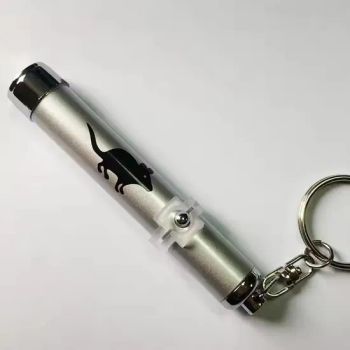 Promotional LED Logo Projector Keychain – 3-5m Focal Length Mini Aluminum Torch with Custom Silk Screen Printing - Changzhou Sitan Imp. and Exp. Co., Ltd. - China