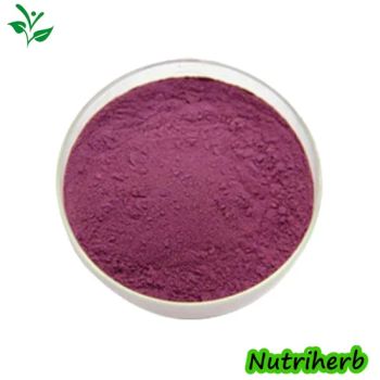 Pure Organic Maqui Berry Extract Wholesale Maqui Berry Fruit Juice Powder - Nanjing NutriHerb BioTech Co., Ltd. - China