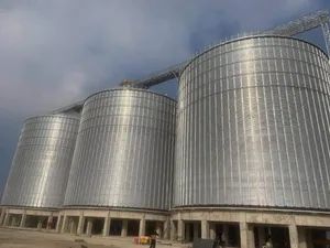 High Quality 5000 Tons Steel Silos for Grain Storage /Wheat/Corn Bins - Dongying Fengtu Intelligent Storage Co., Ltd. - China