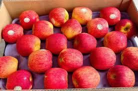 apple – product photo, Apple products found from trusted suppliers, wholesalers, manufacturers & exporters Listing