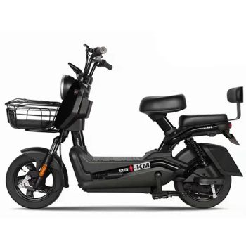 2025 China New Design Electric City Bike 48V 350W Low Price Hot Sale - Hebei Beinafu Childrens Products Co., Ltd. - China