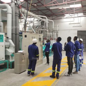 New Design Factory Price 30t/24h Maize Corn Milling Grain Processing Machinery - Shijiazhuang Hongdefa Machinery Co., Ltd. - China