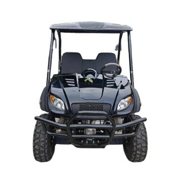 Electric Utvs Street Legal Dune Buggy 4X4 Utility Terrain Vehicle ATV - Guangzhou Shangyang Trading Co., Ltd. - China