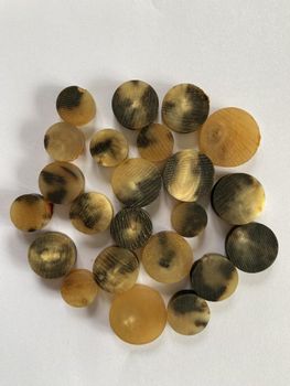 Button Blanks color - Almighty Overseas Nepal Pvt Ltd - Nepal