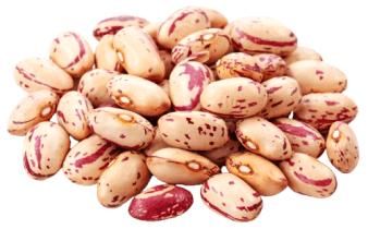 Speckled kidney beans polished - SULTAN AGRO IMPEKS - Uzbekistan