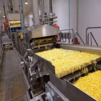 Potato Chips French Fries Production Line Frozen French Fries Production Line Machine - Zhucheng Huazhu Machinery Co., Ltd - China
