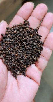 Black Pepper Pinheads from Mysteva Group Black Pepper Pinheads – product photo, Dehydrated Black Pepper products found from trusted suppliers, wholesalers, manufacturers & exporters Listing