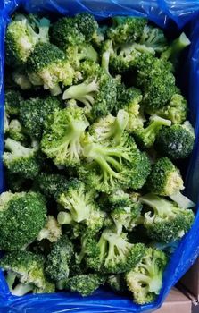 IQF broccoli Grade A Texture Crisp Taste Flavorful Model Number 081120 Quality Grade Premium Place of Origin Egypt Freshness Consistently Fresh - Egyland International Trade - Egypt